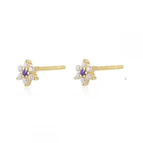 Pendientes en PLata de Ley Blume Gold VIoleta